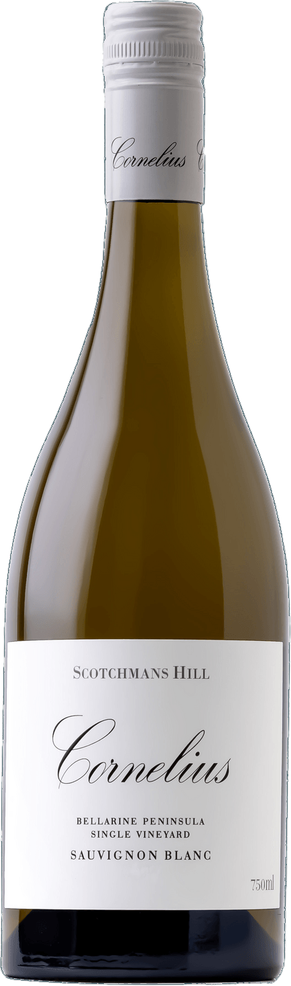 Sauvignon Blanc, Single Vineyard 2024 — Bellarine Peninsula